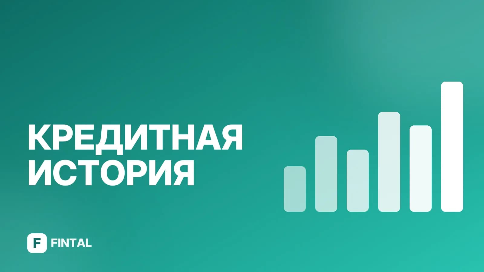 Документы БКИ: какие нужны и как получить