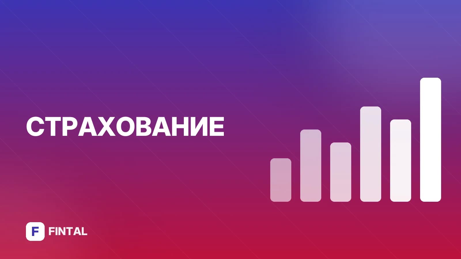 Как оформить полис ОСАГО на новый автомобиль