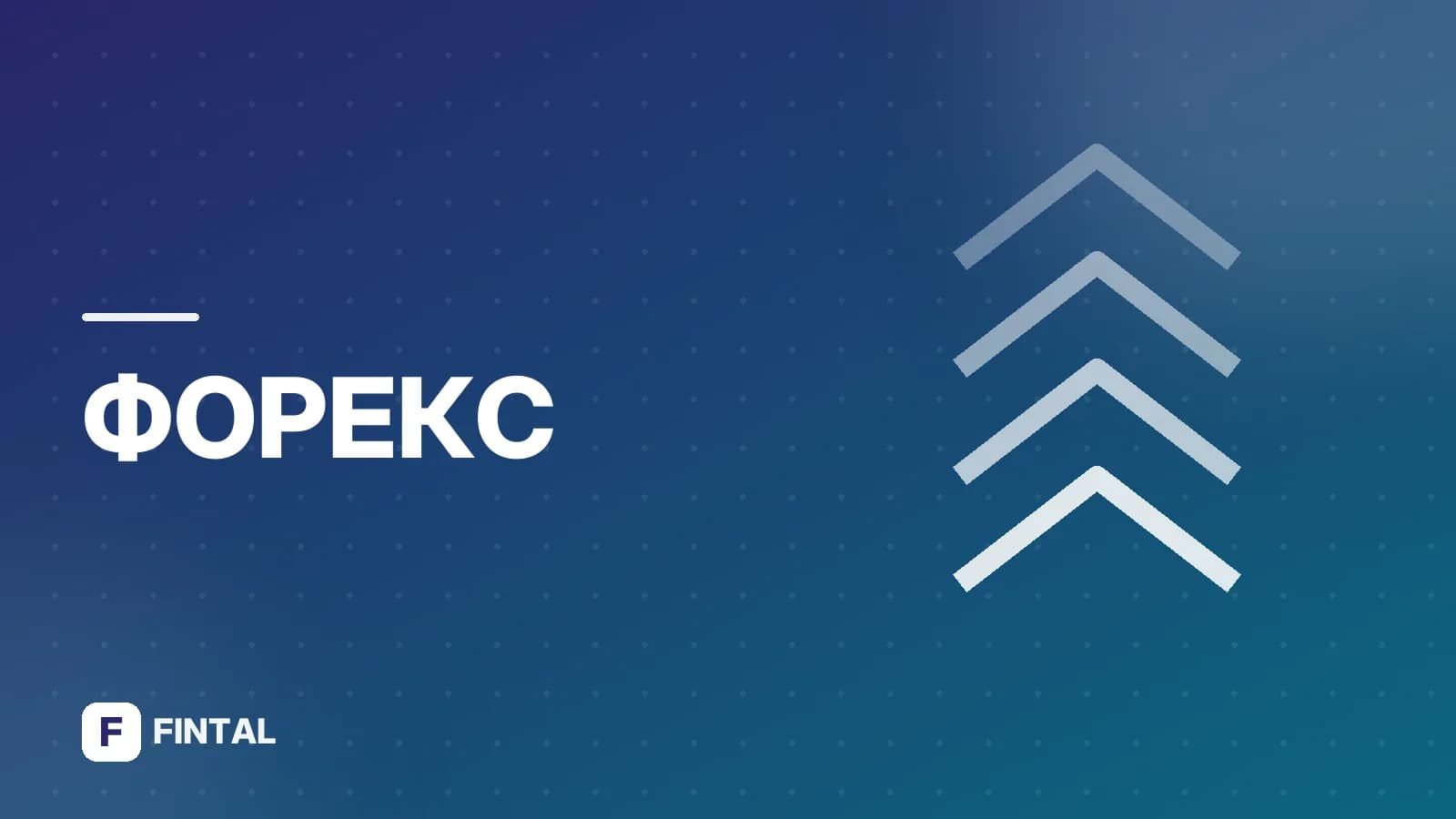 Какая валюта в Нидерландах: актуальная информация