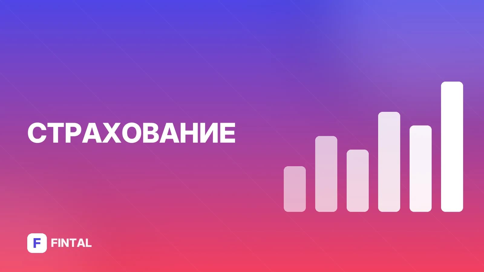 Каско онлайн: как оформить полис быстро и без визита в офис