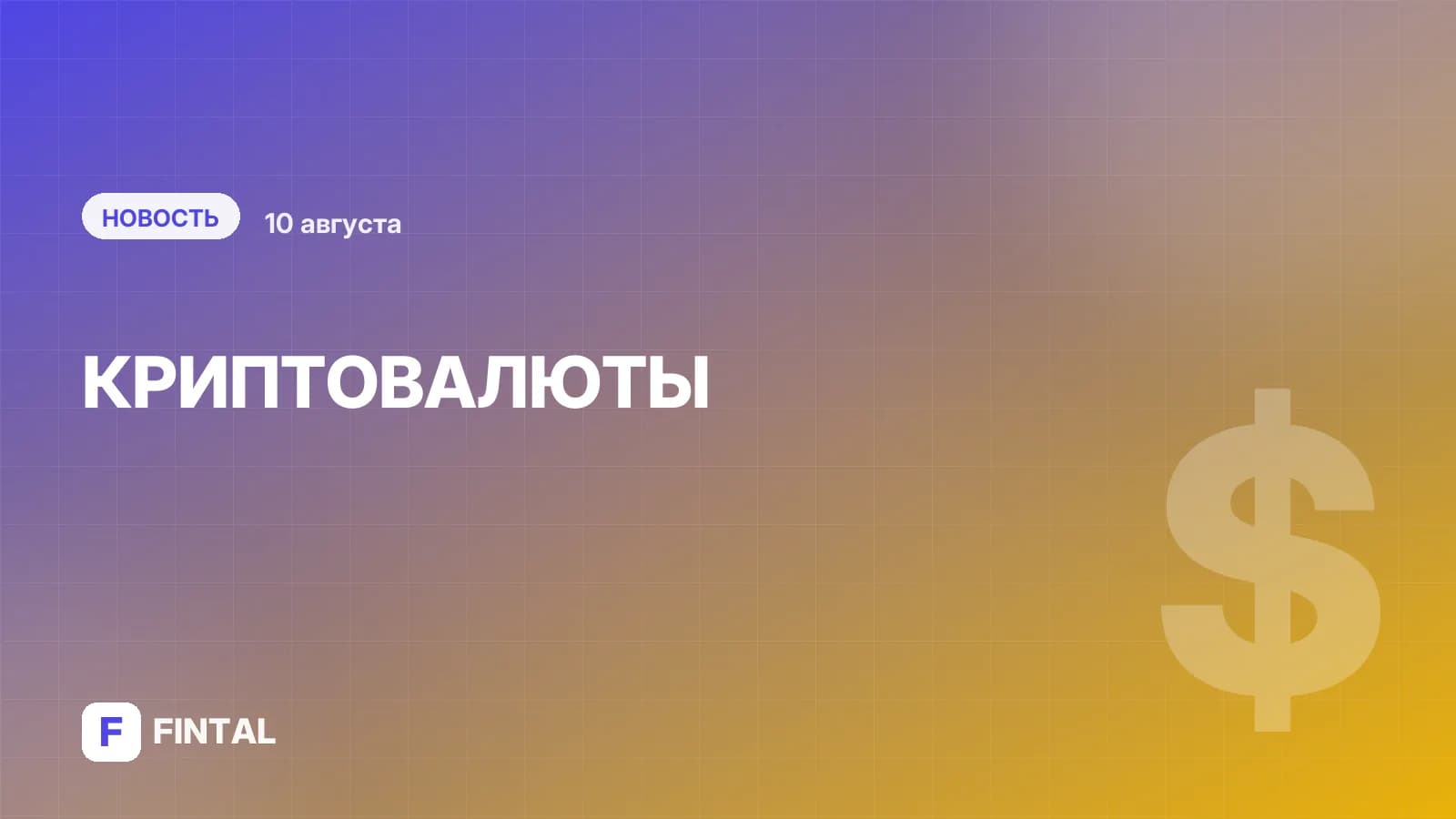 "Параллельно рублю". Что стоит за новым законом о криптовалютах