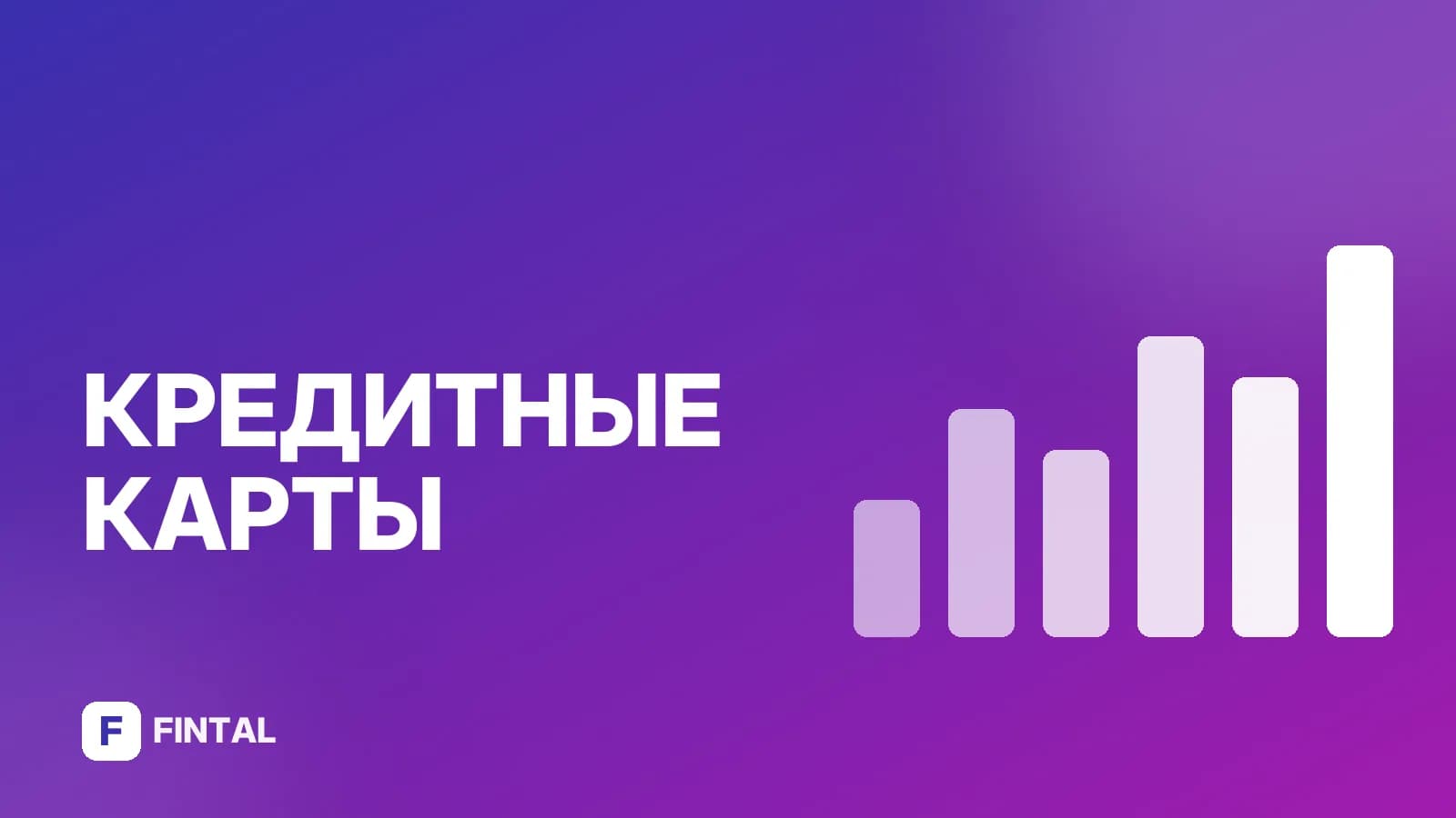 Рассрочка Т-Банка в ДНС: как оформить и условия