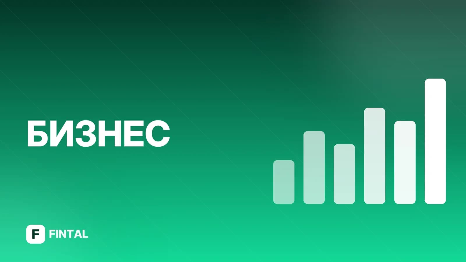 Решение единственного участника о назначении директора