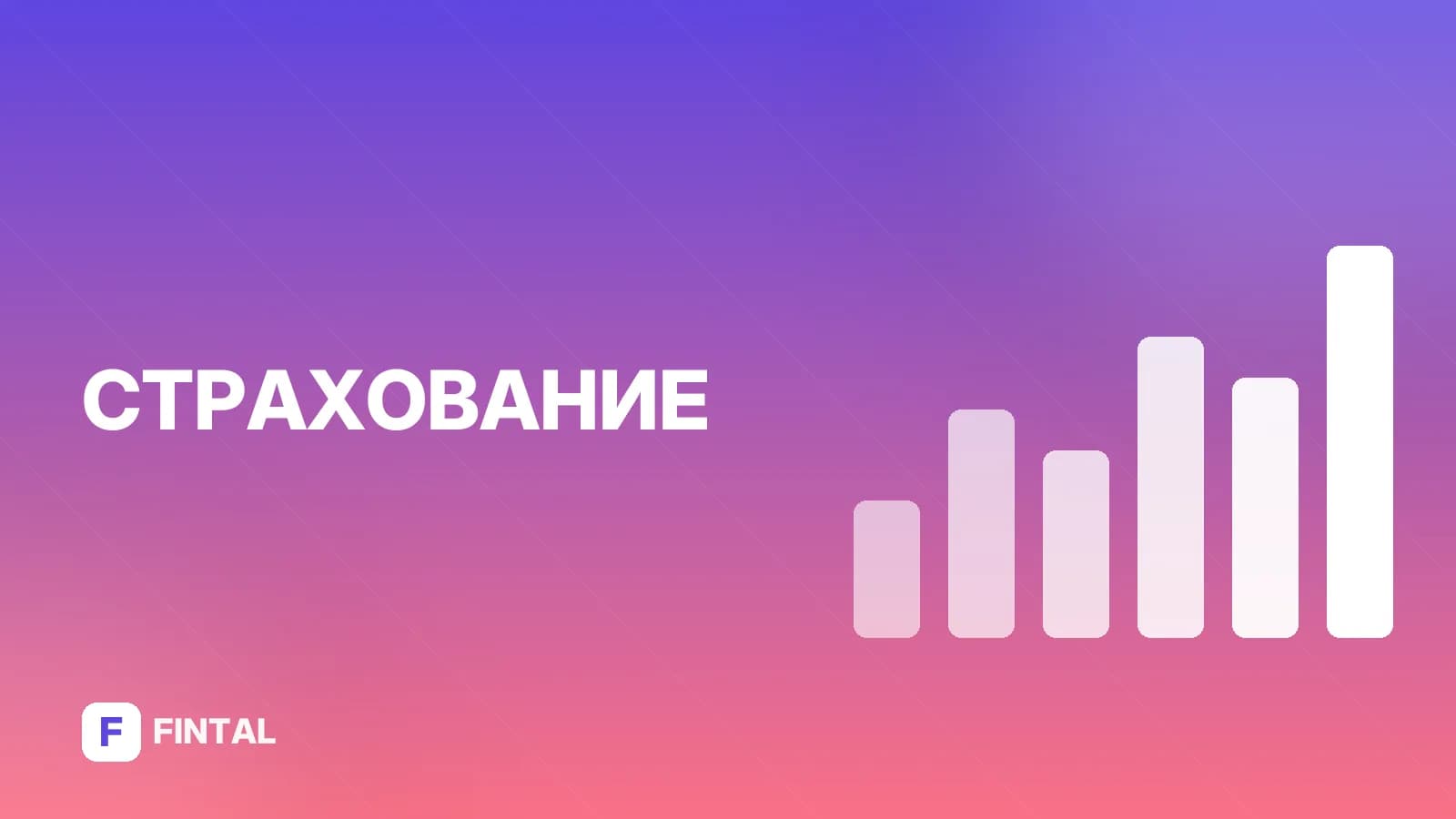 Страховка авто без стажа: как оформить и сколько стоит