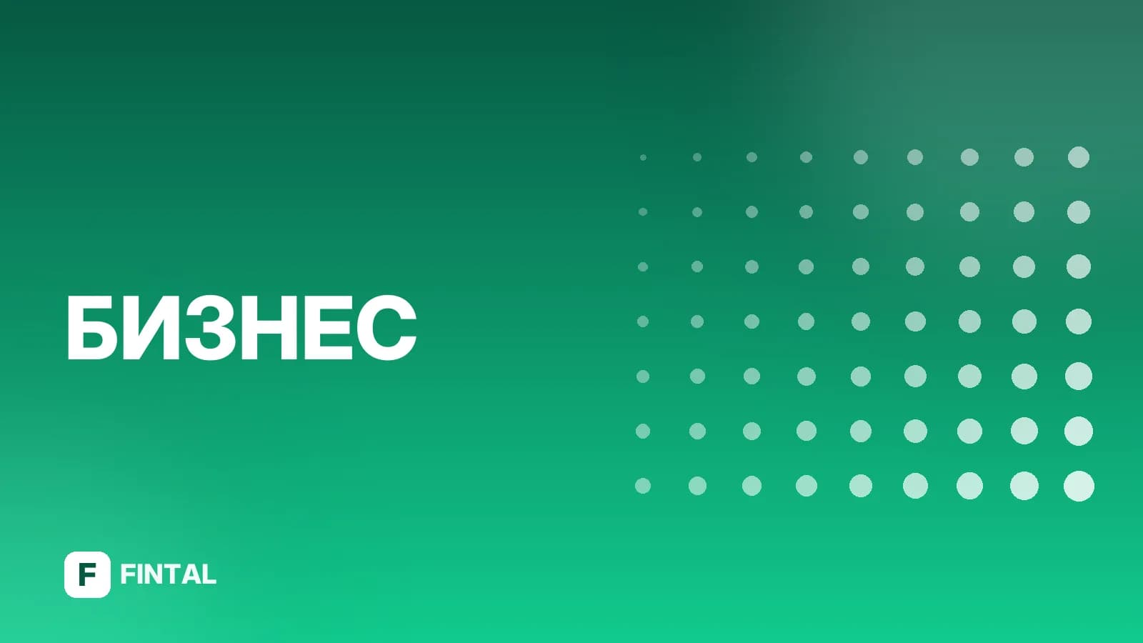Эльба для ИП на патенте: как вести учёт и сдавать отчётность