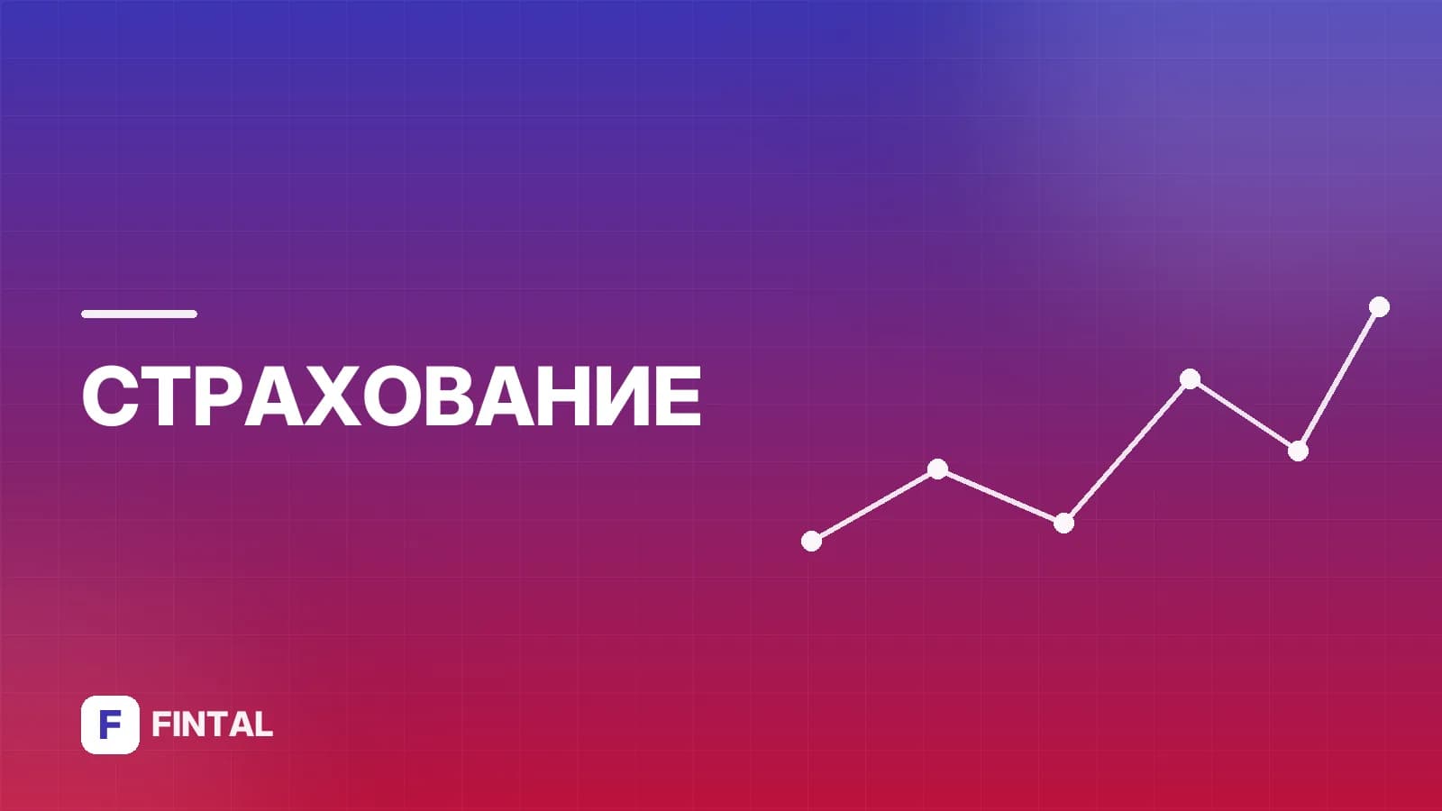 Есть ли ОСАГО: как проверить полис и что делать, если его нет
