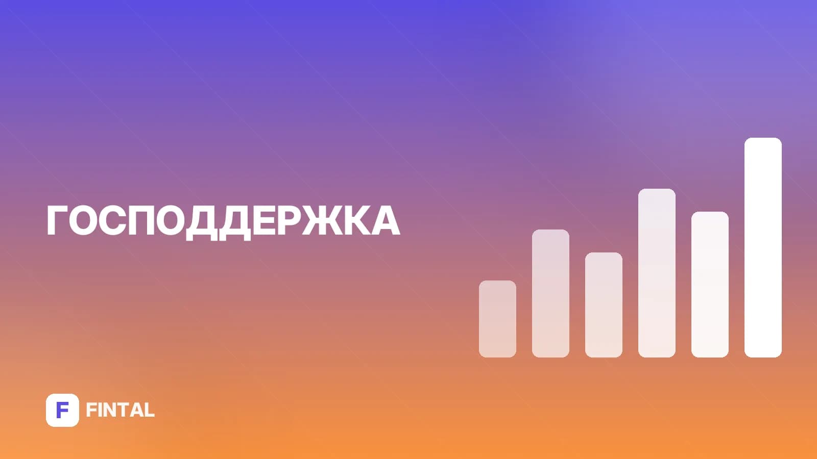 Выплаты за госнаграды участникам СВО: кому и сколько